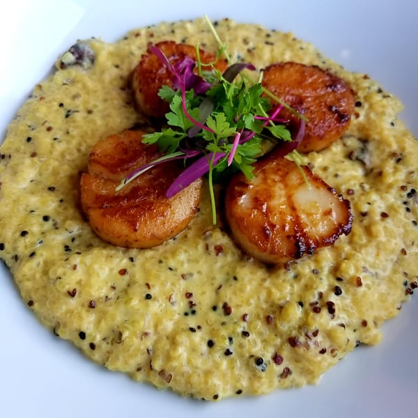 Seared scallops on a bed of creamy quinoa, garnished with fresh herbs, served at Lima Taverna.